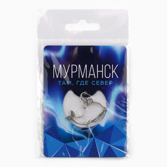 Магнит  Магнит "Мурманск", 6 х 8 см