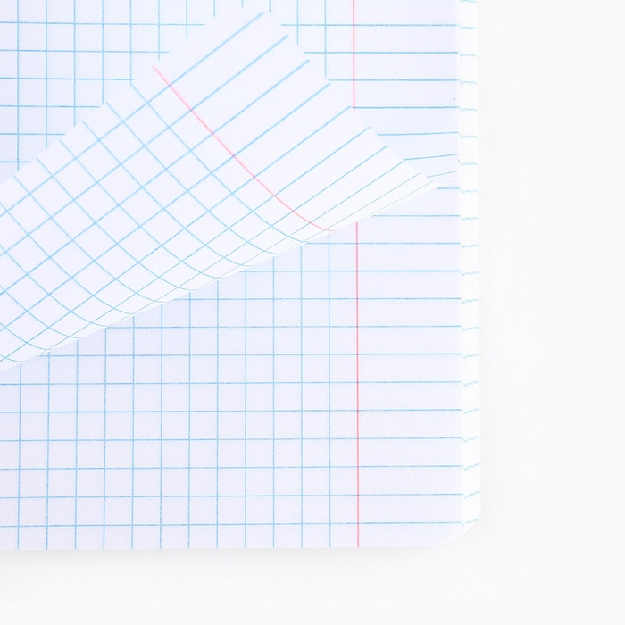 Тетрадь в клетку, 48 листов А5 на скрепке , внутренний блок №1 МИКС «1 сентября: Истинная любовь» ВД лак