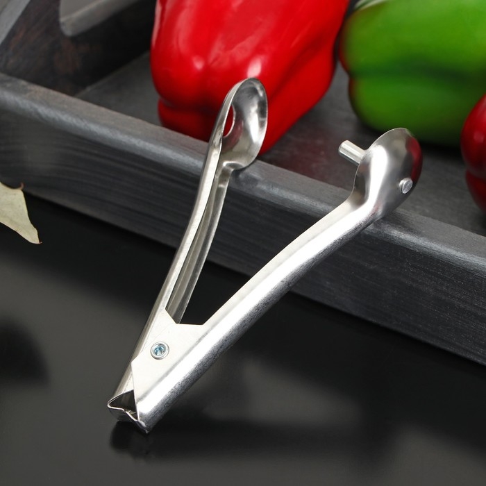 Удалитель косточек Доляна «Классик», 13 см Удалитель косточек Доляна «Классик», 13 см