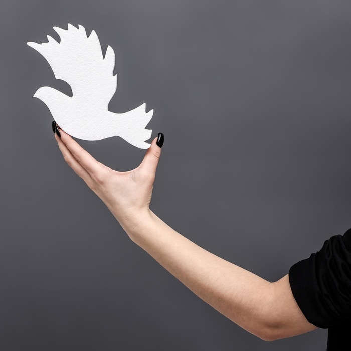 Заготовка из пенопласта Заготовка из пенопласта "Голубь" 20 х 3 см