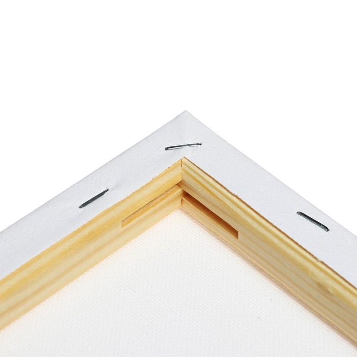 Холст на подрамнике 1,6х20х30 см, Calligrata, хлопок 100%, акриловый грунт, мелкозернистый 280г/м² Холст на подрамнике 1,6х20х30 см, Calligrata, хлопок 100%, акриловый грунт, мелкозернистый 280г/м²