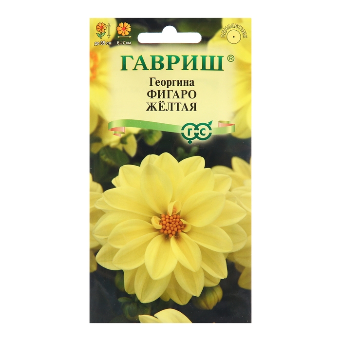 Семена Георгина Семена Георгина "Фигаро", желтая 7 шт.
