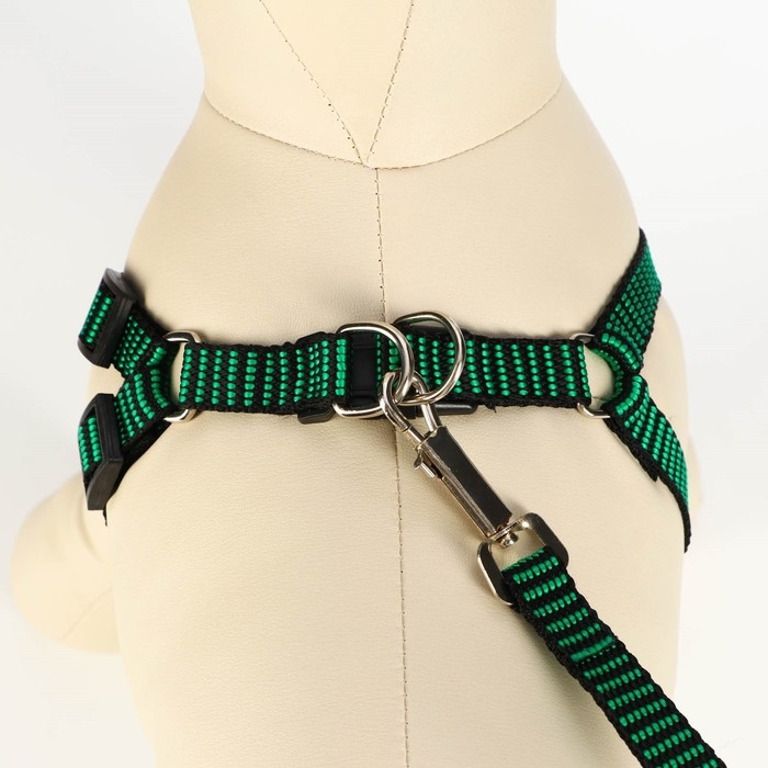 Комплект амуниции рельефный, 1,5 см, шлейка 36-49 см, поводок 120 см, зелёно-чёрный