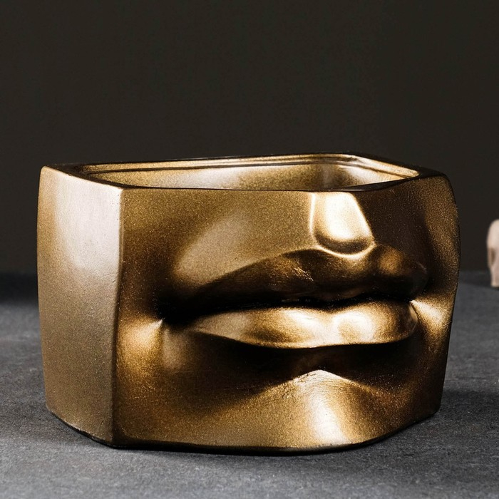 Кашпо - органайзер Кашпо - органайзер "Губы Давида" бронза, 16х11х15,5см