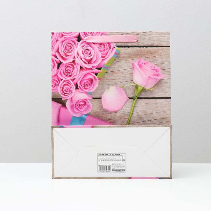 Пакет ламинированный, 26 x 32 x 12 см Пакет ламинированный, 26 x 32 x 12 см