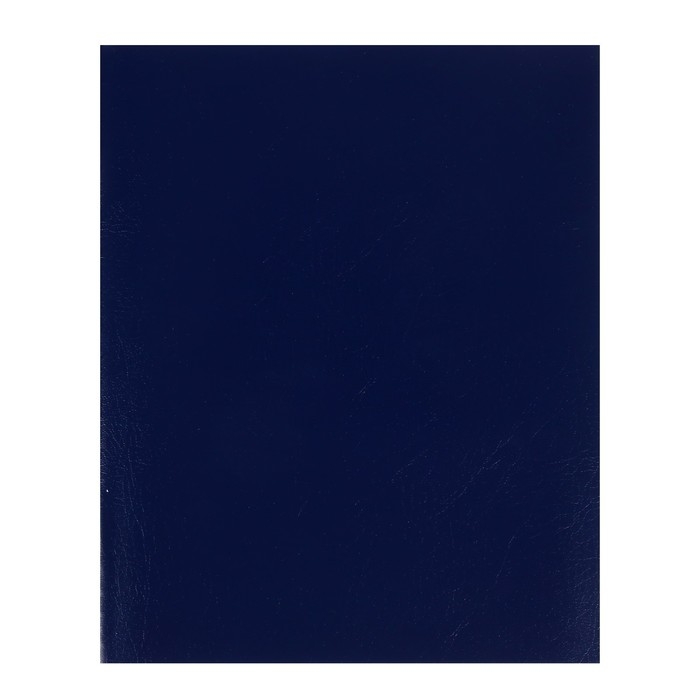 Тетрадь 48 листов в линейку "Синяя", обложка бумвинил, блок офсет