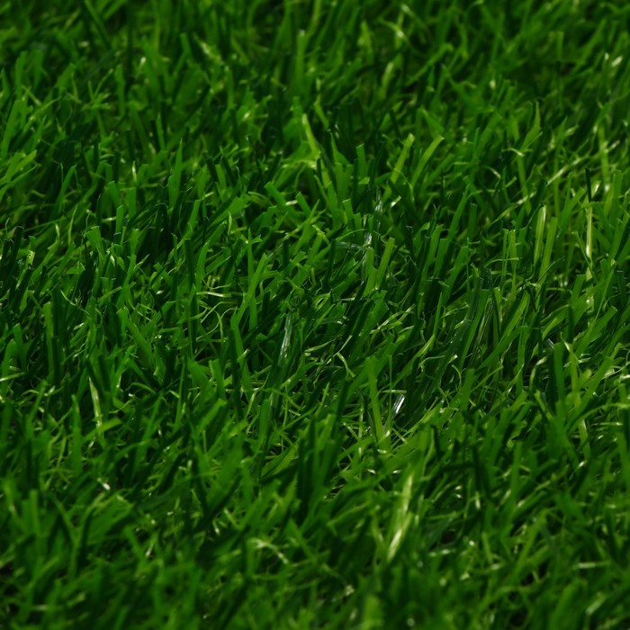 Газон искусственный, ворс 30 мм, 2 × 5 м, трёхцветный, тёмно-зелёный, Greengo Газон искусственный, ворс 30 мм, 2 × 5 м, трёхцветный, тёмно-зелёный, Greengo