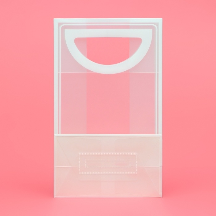 Пакет ПП с вырубной ручкой, прозрачный, 25 х 19 х 9 см, белый Пакет ПП с вырубной ручкой, прозрачный, 25 х 19 х 9 см, белый
