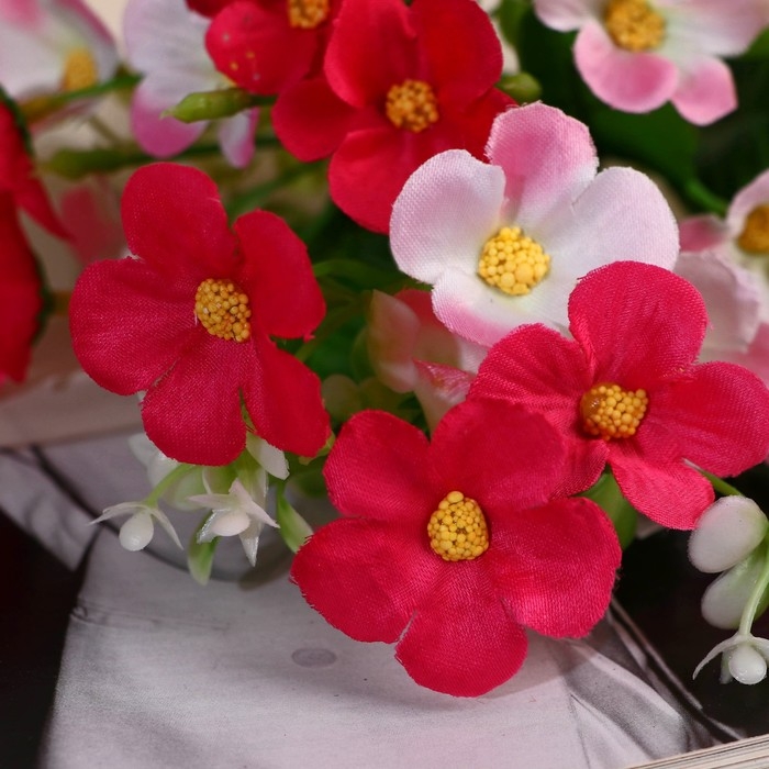 Букет Букет "Фиалка Ида" 3х33 см, микс