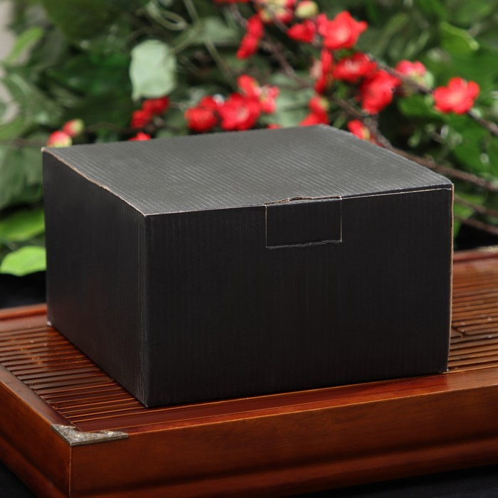 Чайник для плиты Доляна «Чёрный тигр», 700 мл, с ситом, чугун, эмалированное покрытие внутри, индукция, цвет чёрный Чайник для плиты Доляна «Чёрный тигр», 700 мл, с ситом, чугун, эмалированное покрытие внутри, индукция, цвет чёрный