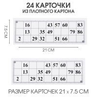 Русское лото "Классическое", 24 карточки, карточка 21 х 7.5 см, 24.5 х 8 см