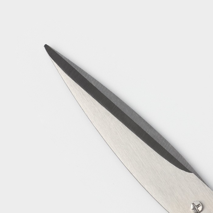 Ножницы кухонные Доляна «Помощник», 19 см, цвет зелёный Ножницы кухонные Доляна «Помощник», 19 см, цвет зелёный