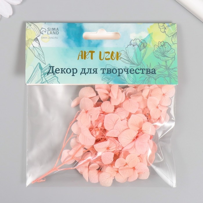 Сухоцвет Сухоцвет "Гортензия" розовый h=6-6,5 см