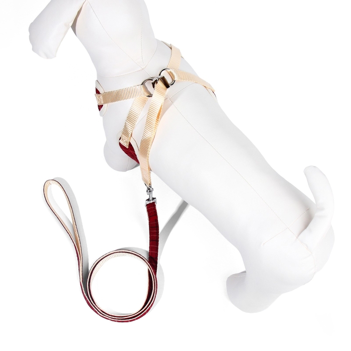 Комплект с мягкой шлейкой  Комплект с мягкой шлейкой "Клетки", размер L, поводок 120 х 1,5 см, ОГ 42-76 см, красный