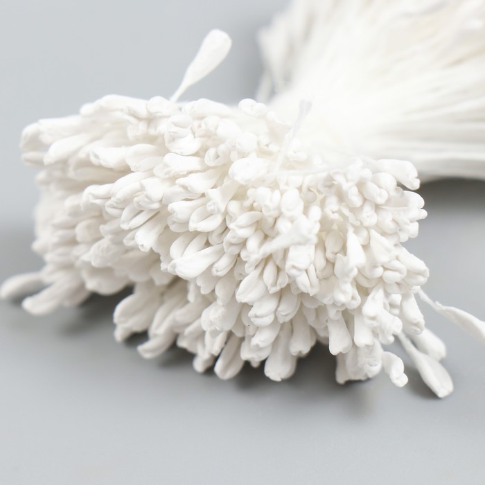 Тычинки для цветов Тычинки для цветов "Белый" набор 360 шт длина 6 см