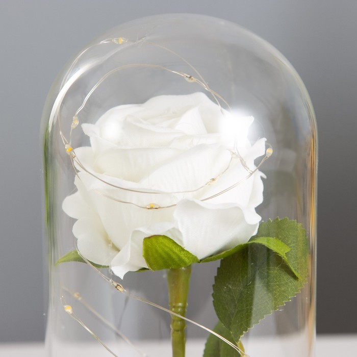 Ночник колба Ночник колба "Роза белая" LED 3ААА 10х10х20 см RISALUX