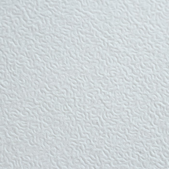 Папка для пастели А3, 297 х 420 мм, 20 листов, тонированная бумага, слоновая кость, ГОЗНАК  Папка для пастели А3, 297 х 420 мм, 20 листов, тонированная бумага, слоновая кость, ГОЗНАК "Скорлупа", блок 200 г/м²