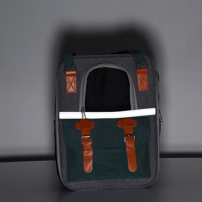 Рюкзак-переноска для кошек и собак, 52 х 22 х 41 см, зелёный Рюкзак-переноска для кошек и собак, 52 х 22 х 41 см, зелёный