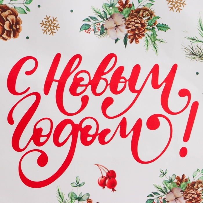 Новый год. Пакет бумажный подарочный новогодний крафт "Новый год" 27 х 21 х 11 см.