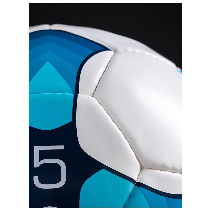 Футбольный мяч MINSA Training, ручная сшивка, 32 панели, р. 5, PU Футбольный мяч MINSA Training, ручная сшивка, 32 панели, р. 5, PU