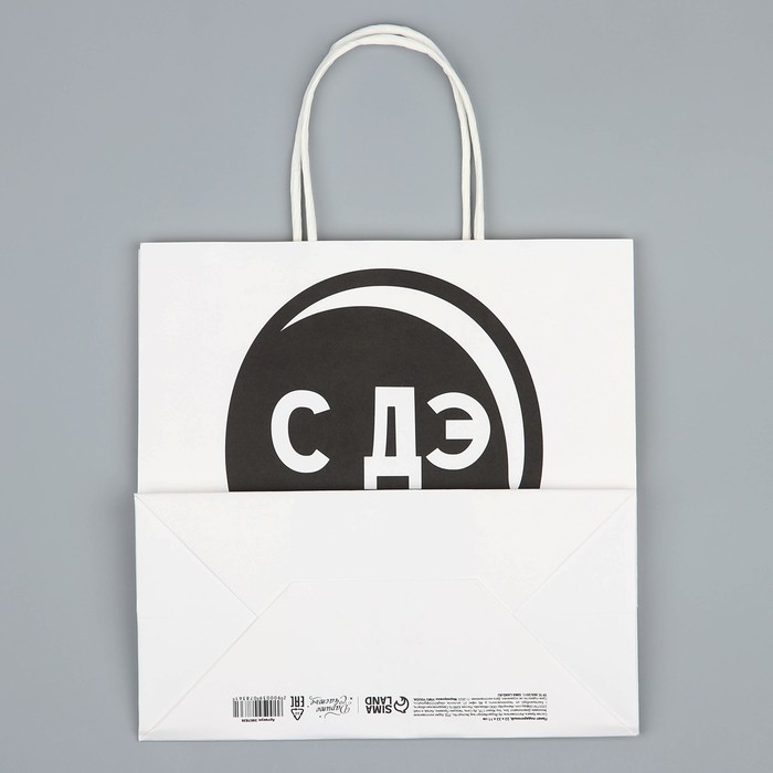 Пакет подарочный, упаковка, «С Дэ Рэ», 22 х 22 х 11 см Пакет подарочный, упаковка, «С Дэ Рэ», 22 х 22 х 11 см