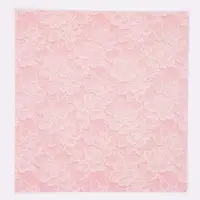 Бумага для скрапбукинга &laquo;Кружева&raquo;, 180 г/м, 30.5&times;32 см