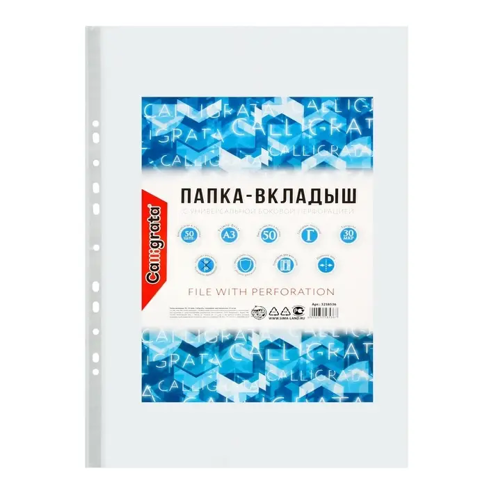 Файл - вкладыш Calligrata, А3, 30 мкм, глянцевый, вертикальный, 50 штук