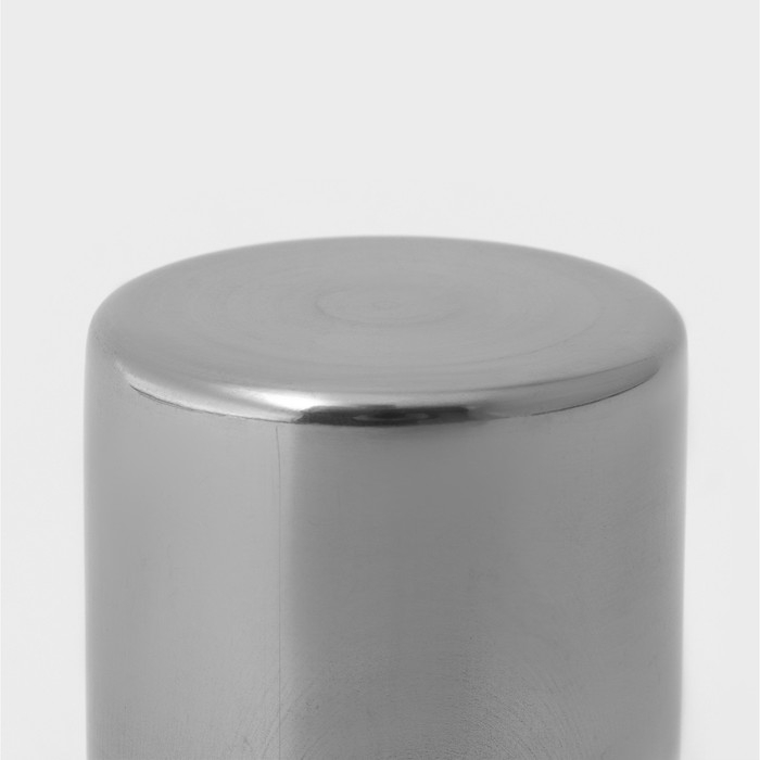 Диспенсер для сахарной пудры Доляна, 300 мл, 7×12,6 см, цвет хромированный Диспенсер для сахарной пудры Доляна, 300 мл, 7×12,6 см, цвет хромированный