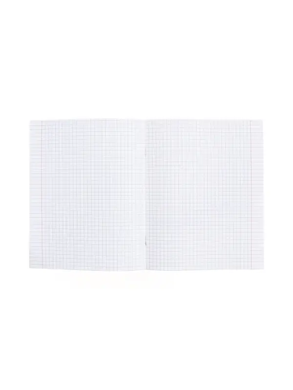 Тетрадь 48 листов в клетку &laquo;Буквица&raquo; География, белые листы