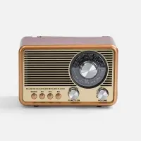 Bluetooth-колонка с радио Listenberg, коричневая