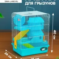 Клетка для грызунов &laquo;Пижон&raquo;, 31&times;24&times;40 см двухэтажная. с наполнением, голубая