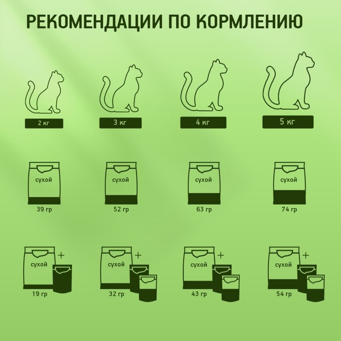 Сухой корм KiteKat  Сухой корм KiteKat "Аппетитная курочка" для кошек, 350 г