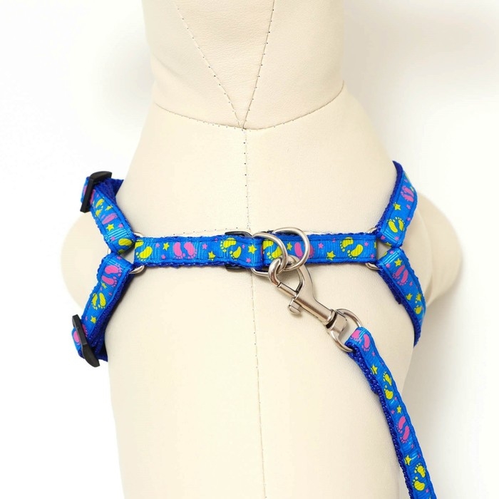 Комплект  Комплект "Цветные следы", ширина 1 см, поводок 120 см, шлейка 23-35 см, синий