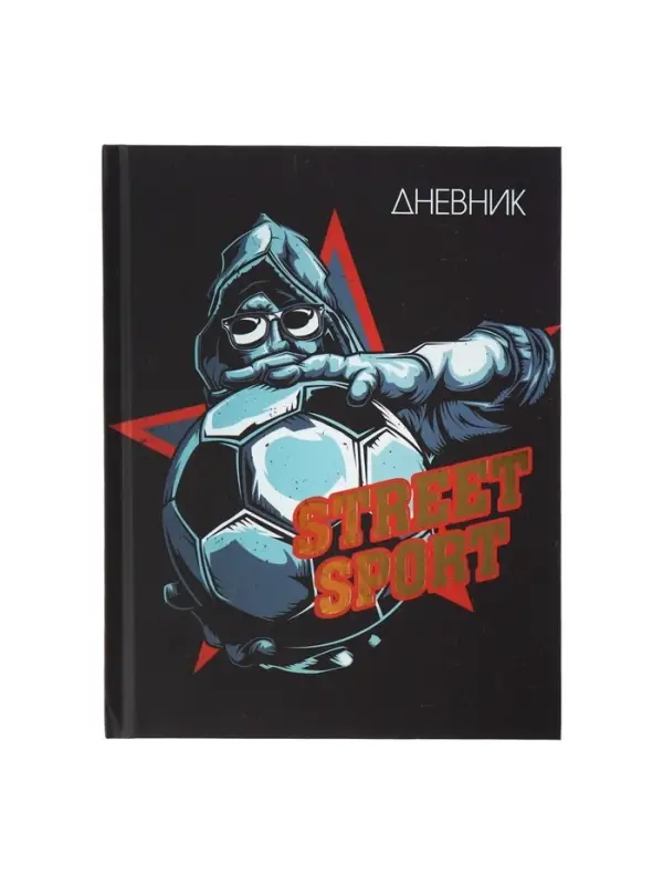 Дневник школьный для 1-11 классов, Street Sport, твёрдая обложка 7БЦ, матовая ламинация, тиснение фольгой, 40 листов