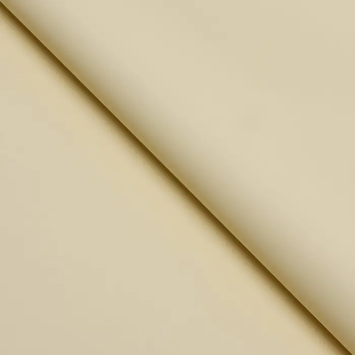 Пленка для цветов тонированная, матовая, шампань, 57×57 см ±5% см, 65 мкм Пленка для цветов тонированная, матовая, шампань, 57×57 см ±5% см, 65 мкм