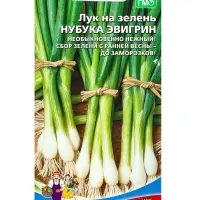 Семена Лук на зелень Нубука Эвигрин 0.25 г