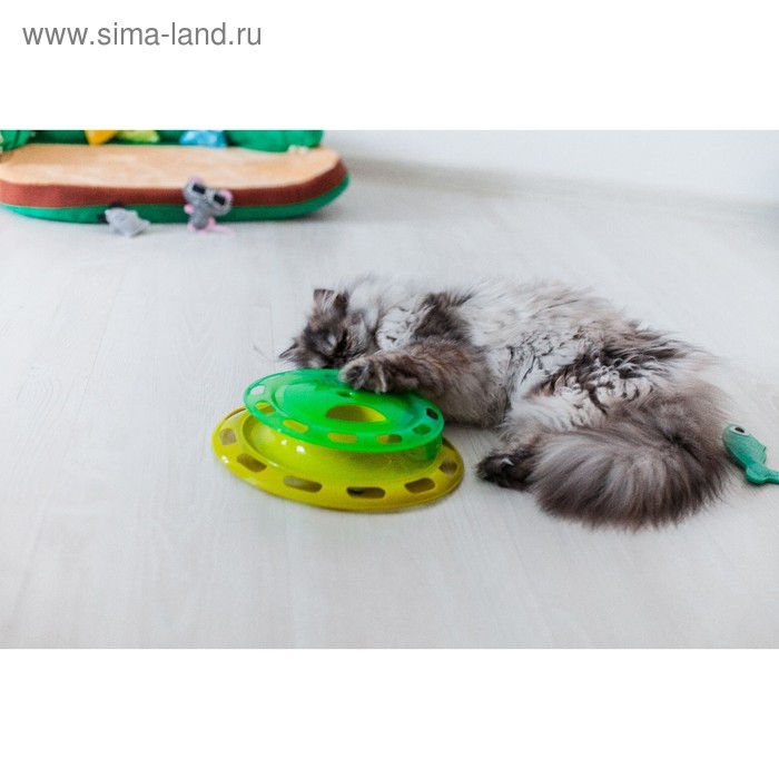Игровой комплекс для кошек с отсеками для корма и шариком (картоная коробка), микс Игровой комплекс для кошек с отсеками для корма и шариком (картоная коробка), микс