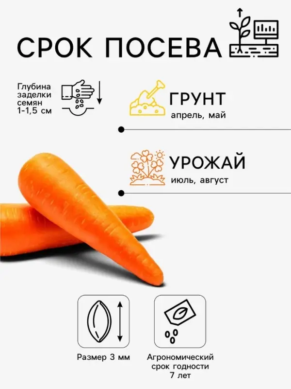 Семена Морковь &laquo;Вкусняшка&raquo;, ранняя, &laquo;Аэлита&raquo;