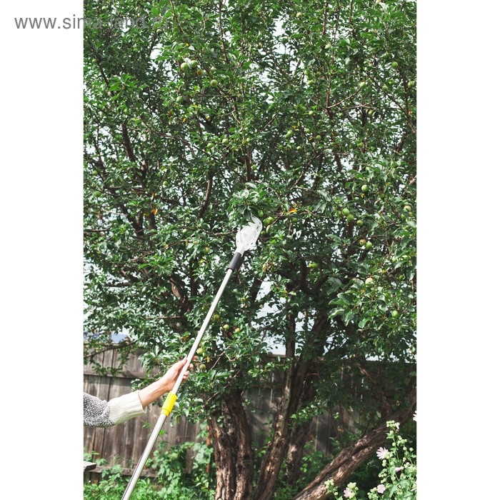 Плодосъёмник, с телескопическим черенком, 158 - 250 см, Greengo