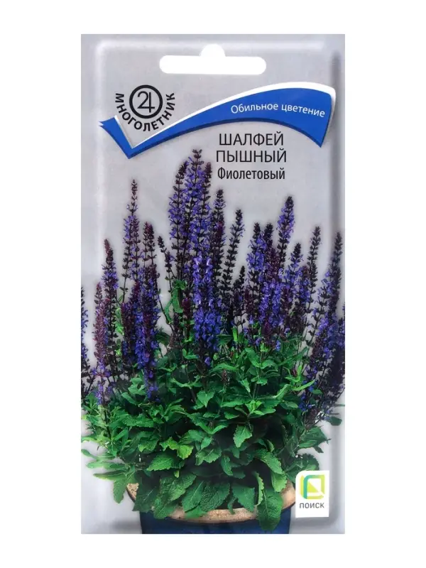 Семена цветов Шалфей пышный Фиолетовый, 0,1гр Семена цветов Шалфей пышный Фиолетовый, 0,1гр