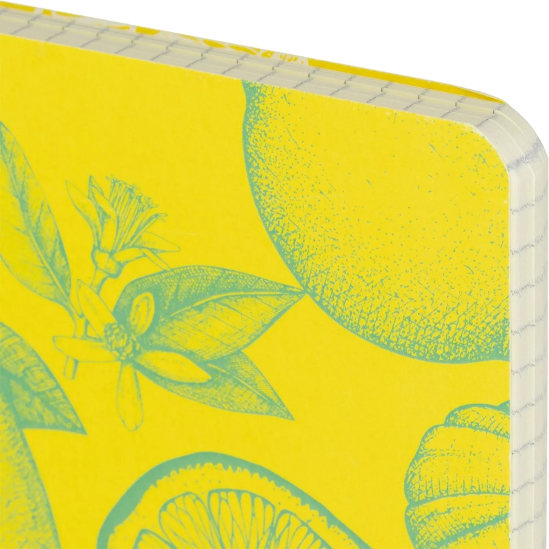 Бизнес-тетрадь  ароматизир.100л,кл,А5, КЛЕМЕНТИН,спир,тонир.блок 84906