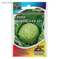 Семена Капуста белокочанная "Слава Грибовская 231", для квашения, 0.1 г серия ХИТ х3 Семена Капуста белокочанная "Слава Грибовская 231", для квашения, 0.1 г серия ХИТ х3