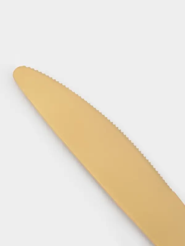 Нож столовый Magistro &laquo;Оску стандарт&raquo;, длина 21.3 см, нержавеющая сталь, золотистый