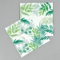 Салфетки бумажные однослойные «Узоры природы», 24х24 см, 50 шт Салфетки бумажные однослойные «Узоры природы», 24х24 см, 50 шт