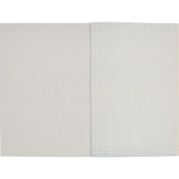 Тетрадь общая А4,48л,кл,скоб,офсет-2 Ice син/зел