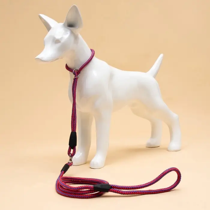 Ринговка для собак, 150&times;0.6 см, с вертлюгом, красная, синяя