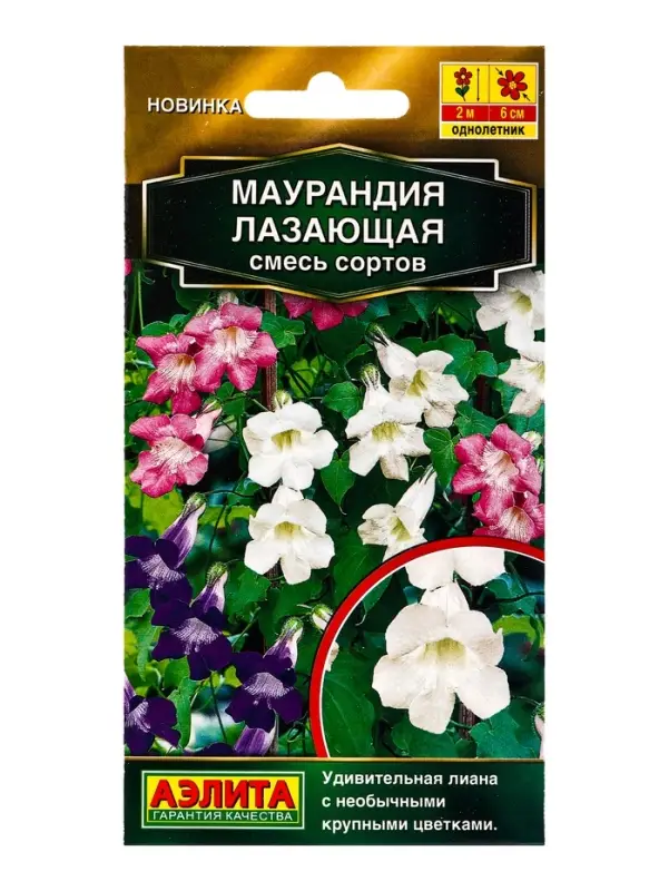 Семена цветов Маурандия лазающая, смесь сортов Золотая серия, Ц/П,5 шт. Семена цветов Маурандия лазающая, смесь сортов Золотая серия, Ц/П,5 шт.