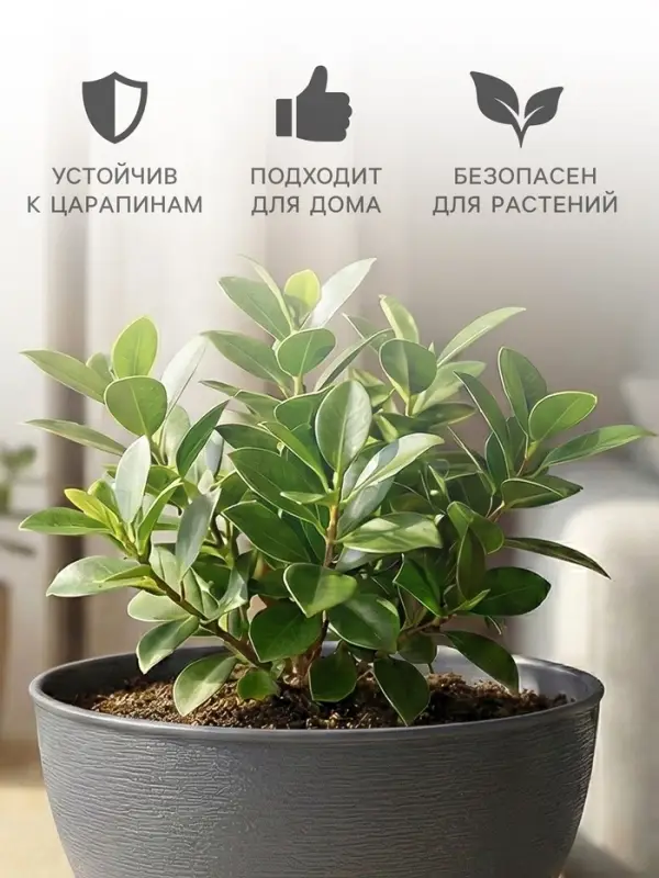 Горшок для цветов &laquo;Фиалочка&raquo;, 800 мл, d=14 см, h=8 см, пластиковый, серый
