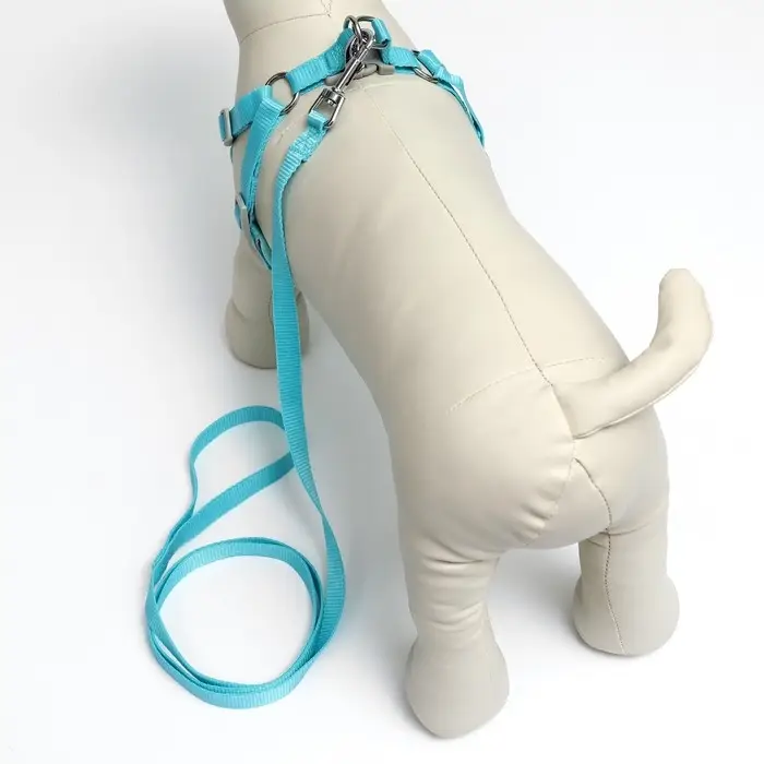 Шлейка с поводком, размер M, ОШ 44-48 ОГ 51-60 с, поводок 140 см, быстросъёмная, мягкая, бирюзовая