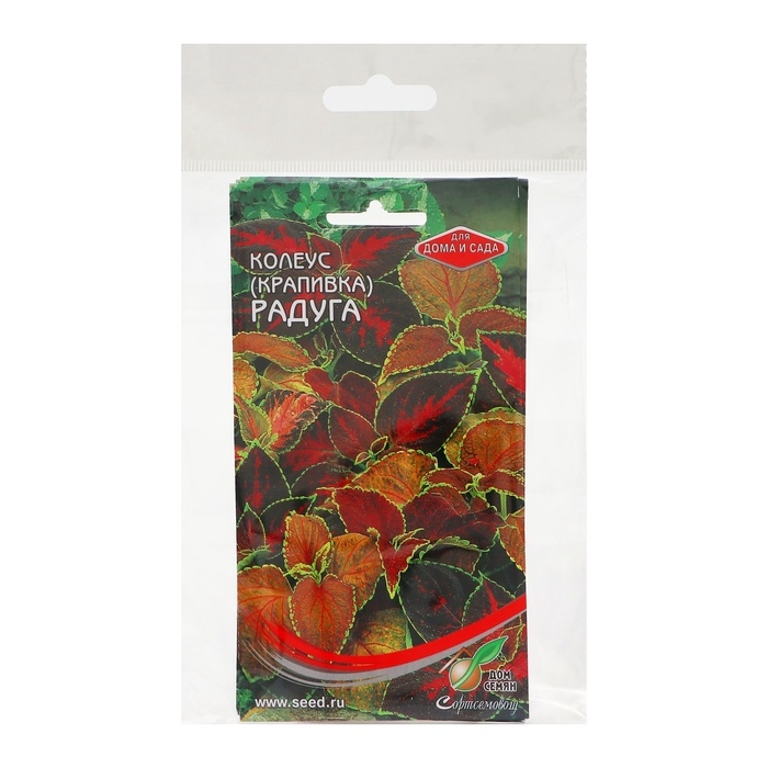 Семена комнатных цветов Колеус  Семена комнатных цветов Колеус "Блюма Радуга", набор 5 шт